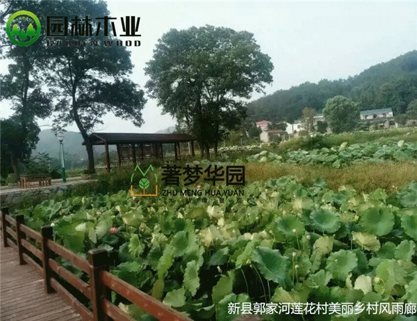 济源91抖音APP官网下载风雨廊